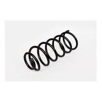 73725 ASAM Пружина ходової частини