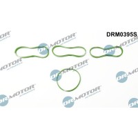 DRM0395S Dr.Motor Automotive Комплект прокладок впускний колектор