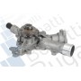 PA10030 BUGATTI Водяний насос охолодження двигуна