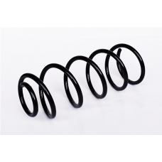 73752 ASAM Пружина ходової частини