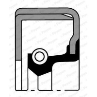 NJ068 PAYEN Ущільнювальне кільце диференціал