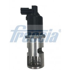 EGR12-106 FRECCIA Клапан повернення ОГ