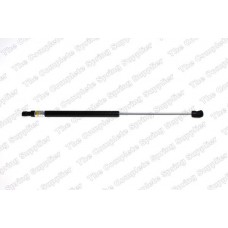 GS1019 ROC Газова пружина кришка багажника