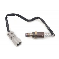 11728 WXQP датчик кисню