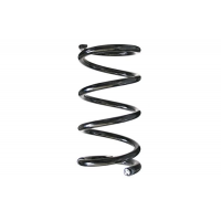 75441 ASAM Пружина ходової частини