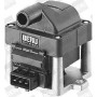 ZSE001 BorgWarner (BERU) Котушка запалювання
