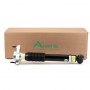 SK3607 ARNOTT Амортизатор