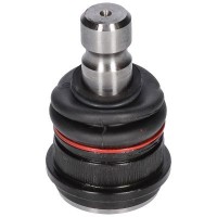 CX0200 BIRTH Шарнір незалежної підвіски поворотного важеля