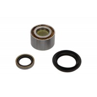 WBK-9039 KAVO PARTS Комплект підшипника ступиці колеса
