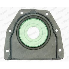 LK5004 PAYEN Ущільнювальне кільце колінчастий вал