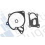 PA10144 BUGATTI Водяний насос охолодження двигуна