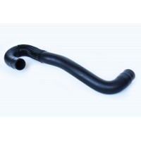 33889 ASAM Шланг радіатора