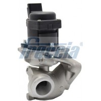 EGR12-107 FRECCIA Клапан повернення ОГ