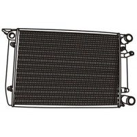 420015 WXQP Радіатор охолодження двигуна