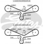 K025493XS GATES Комплект ременя ГРМ