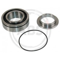 200701 A.B.S. Комплект підшипника ступиці колеса