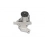 MW-1532 KAVO PARTS Водяний насос охолодження двигуна