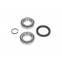 WBK-5502 KAVO PARTS Комплект підшипника ступиці колеса