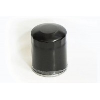 70237 ASAM Паливний фільтр