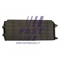 FT91630 FAST Решітка радіатора