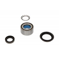 WBK-6517 KAVO PARTS Комплект підшипника ступиці колеса