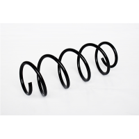 73769 ASAM Пружина ходової частини