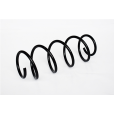 73769 ASAM Пружина ходової частини