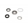 WBK-5508 KAVO PARTS Комплект підшипника ступиці колеса