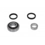 WBK-8516 KAVO PARTS Комплект підшипника ступиці колеса
