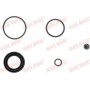 114-0061 QUICK BRAKE Ремкомплект, Гальмівний супорт