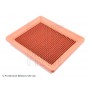 ADF122206 BLUE PRINT Повітряний фільтр