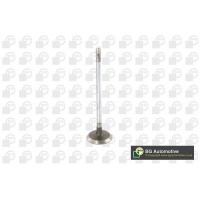 впускний клапан BGA V123002