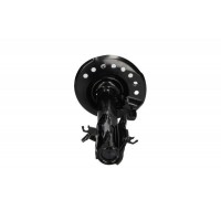 SSA-10573 KAVO PARTS Амортизатор