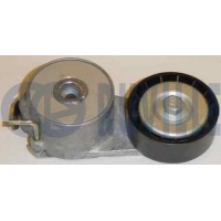 541495 RUVILLE Натяжная планка, Поліклиновий ремінь