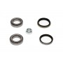 WBK-4501 KAVO PARTS Комплект підшипника ступиці колеса