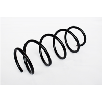 73806 ASAM Пружина ходової частини