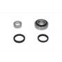 WBK-8516 KAVO PARTS Комплект підшипника ступиці колеса