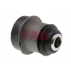 829 0210 10 FAG Підвіска важіль незалежної підвіски колеса