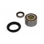 WBK-9039 KAVO PARTS Комплект підшипника ступиці колеса