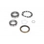 WBK-9038 KAVO PARTS Комплект підшипника ступиці колеса
