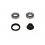 WBK-5511 KAVO PARTS Комплект підшипника ступиці колеса