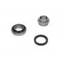 WBK-8528 KAVO PARTS Комплект підшипника ступиці колеса
