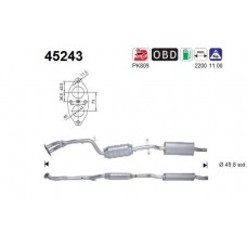 45243 AS Катализатор