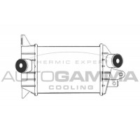 102404 AUTOGAMMA Интеркулер