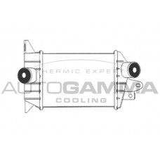 102404 AUTOGAMMA Интеркулер