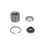 WBK-10033 KAVO PARTS Комплект підшипника ступиці колеса