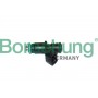 B11165 Borsehung Клапанна форсунка