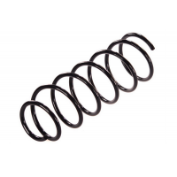 75895 ASAM Пружина ходової частини