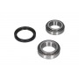 WBK-3501 KAVO PARTS Комплект підшипника ступиці колеса