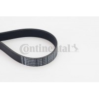 8PK1122 EXTRA CONTINENTAL CTAM Поліклиновий ремінь